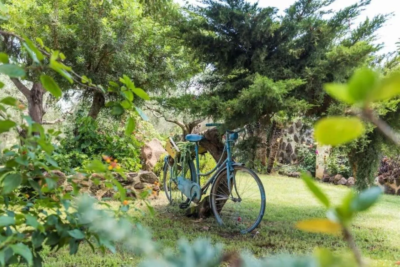 Villa Con Immenso Giardino Orosei